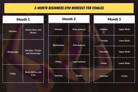 3 Month Workout Routines