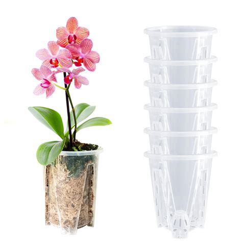 3 Orchid Pot