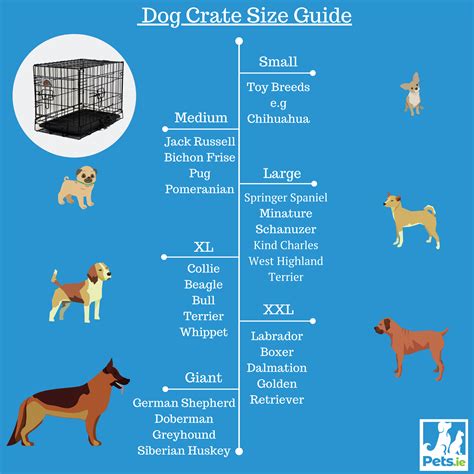 3 Types Of Dog Crate