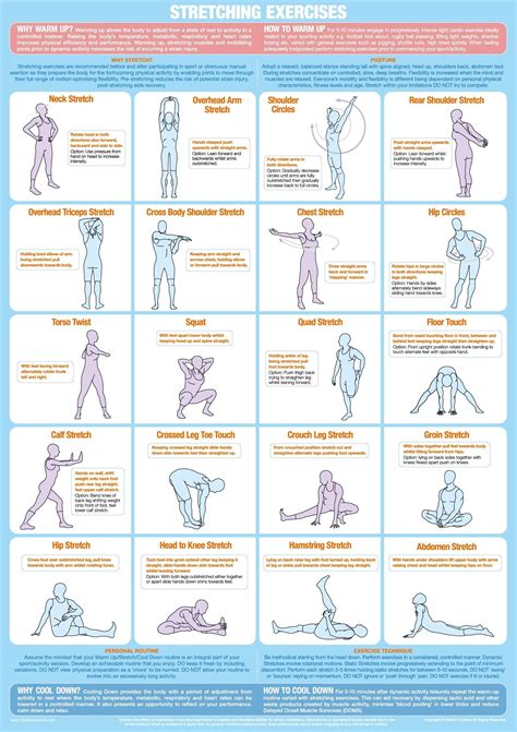 3 Warm Up Stretches