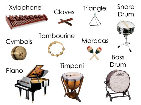 3 examples of percussion instruments