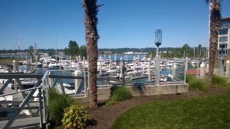 Uncovering the Mystery: What Happened at 3 Sheets at the Harbor