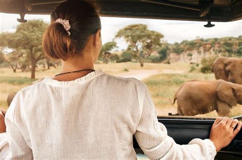 3-Hour Safari expectations
