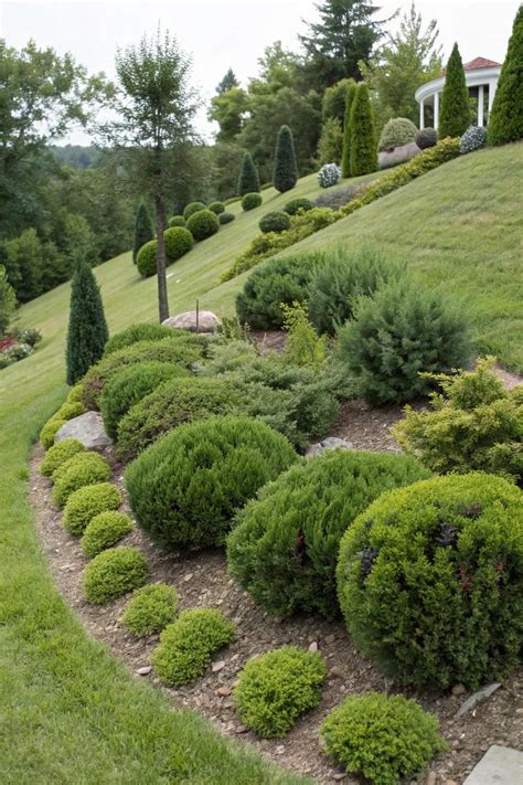 3. Add structure with shrubs