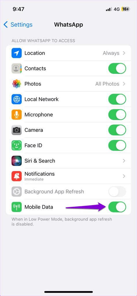 3. Allow WhatsApp to Use Mobile Data (iPhone)
