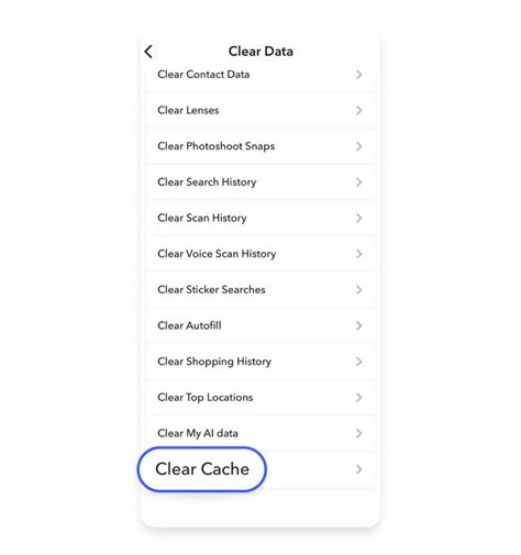 3. Clear Snapchat cache