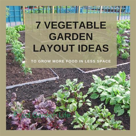 3. Edge the vegetable plot