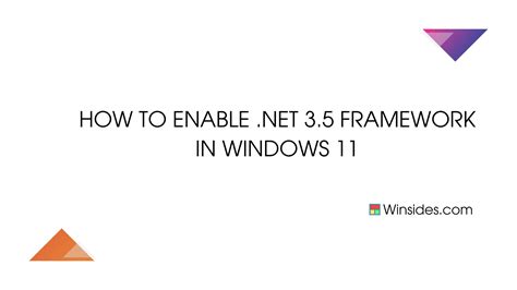 3. Enable the .NET Framework