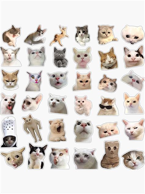 3. Funny Cat Stickers Pack