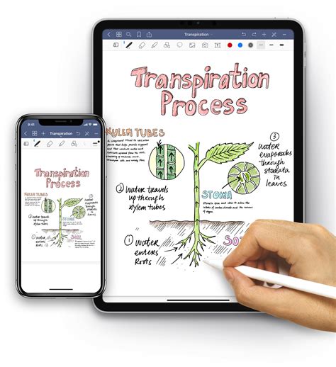 3. GoodNotes 5: Presenting note-taking app for organizations