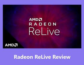 3. Radeon ReLive