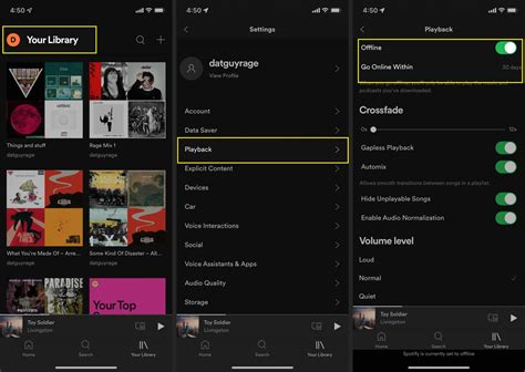 3. Toggle Offline Mode in Spotify