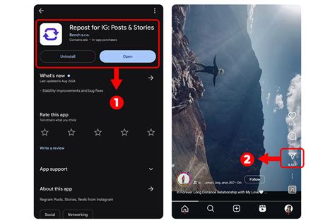 3. Use a Third-Party Reposting App
