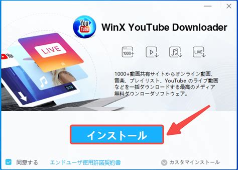 3. Using WinX YouTube Downloader