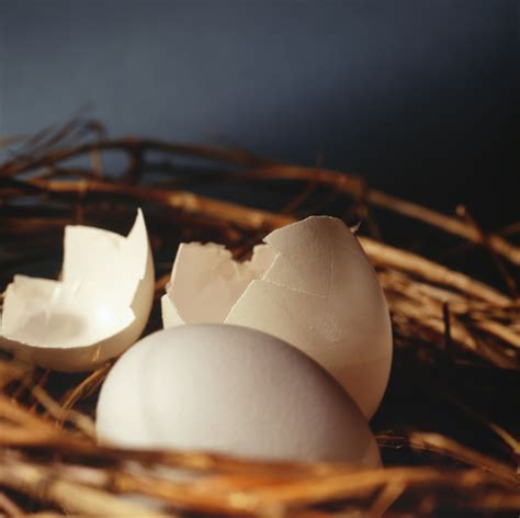 3. Using eggshells as mulch