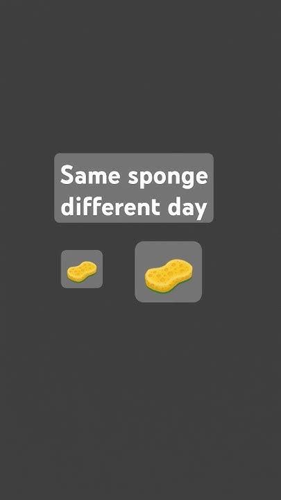3. Using the same sponge as the rest of the room