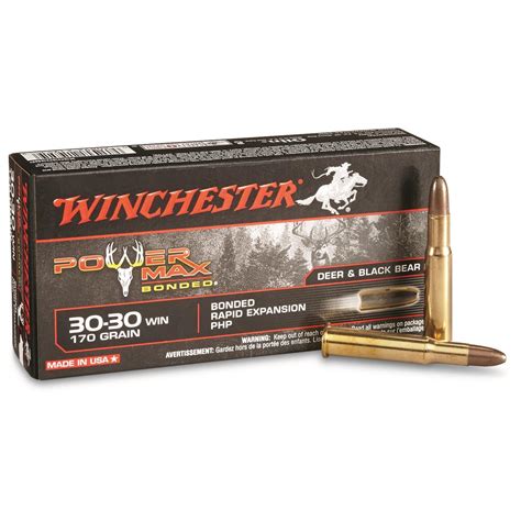 30 30 Winchester Ammo