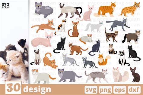 Download 30 Cats Designs Bundle For Crafts