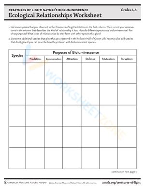 30 Ecological Relationships Worksheet Answers | Education Template