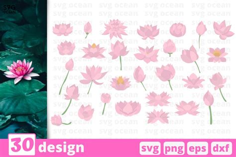 Download 30 Lotus Design Bundle For Cricut