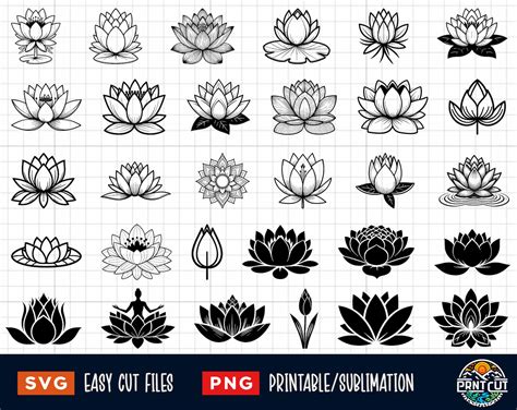 Download 30 Lotus Design Bundle For Silhouette