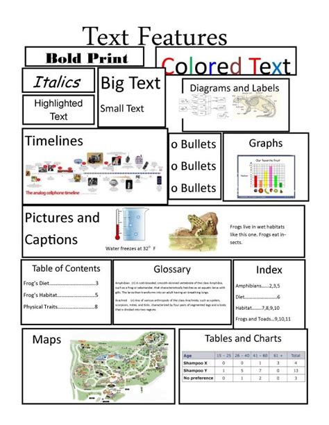30 Text Features Worksheet 3rd Grade