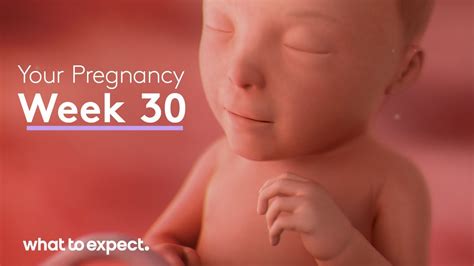 30 Weeks Unlocked: The Ultimate Conversion Guide To Transforming Your Pregnancy Into Months!