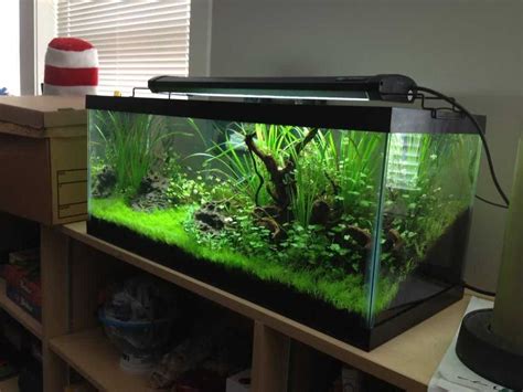 30 gallon long fish tank dimensions