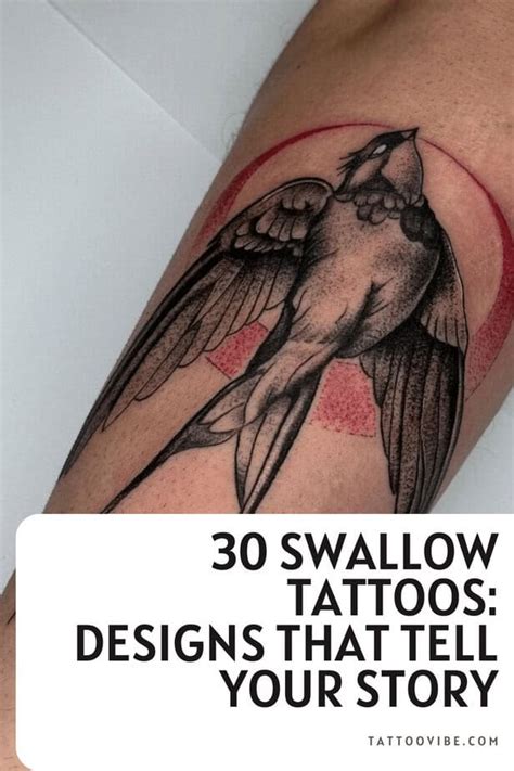 30 swallow we