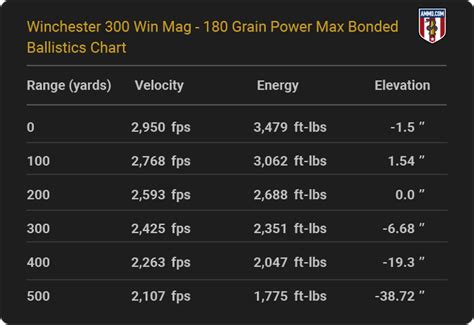 300 Win Mag 100 Yard Zero Chart