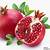 31 khasiat buah delima