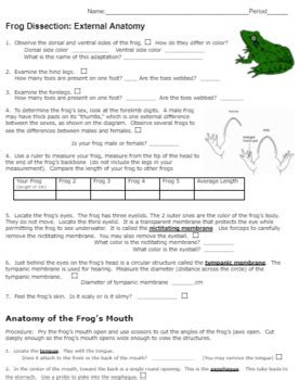 31 Frog Dissection Worksheet Answer Key - Worksheet Resource Plans