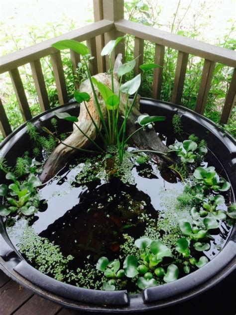 31 awesome mini ponds to complete your outdoor décor small water