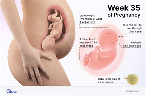 Thriving at 35 Weeks: Celebrating Almost-There Milestones in Your Pregnancy Journey