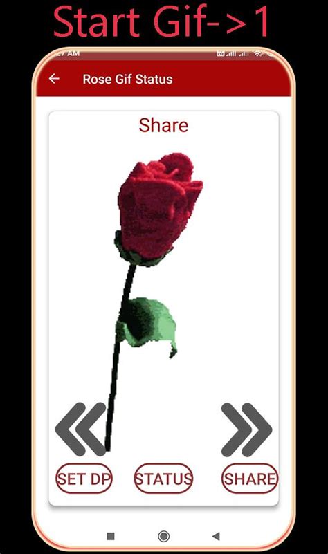 35. Using a GIF on your Status