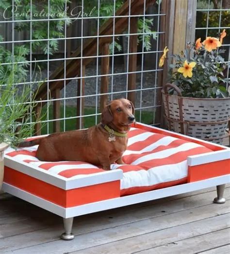 56 awesome dog beds for indoors and outdoors digsdigs