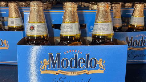 36 Pack Of Beer Modelo
