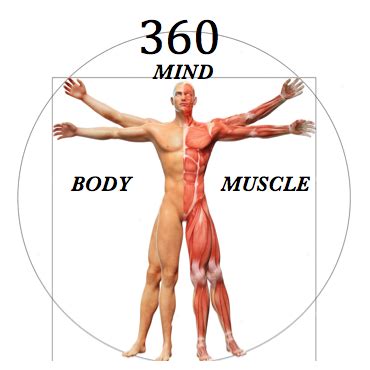 Unlock Secrets of 360 Mind Body Wellness