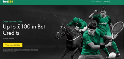365 betting home page