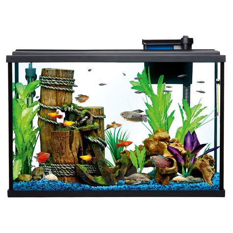 37 gallon fish tank for sale