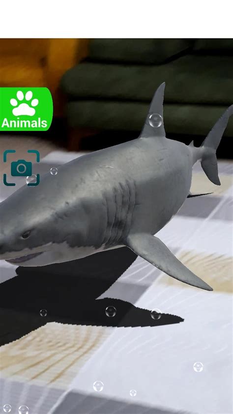 3D Animals Ar App