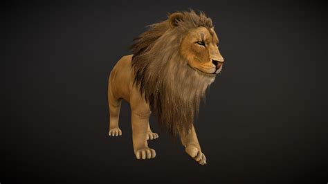 3D Animals Lion View In 3D Google