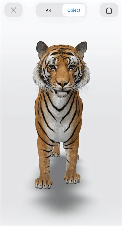 3D Animals View In Space