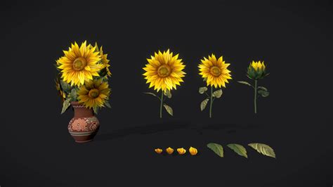 Download 3D Home - 3D Sunflower