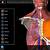 3d Anatomy Software