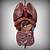 3d Human Anatomy Organs