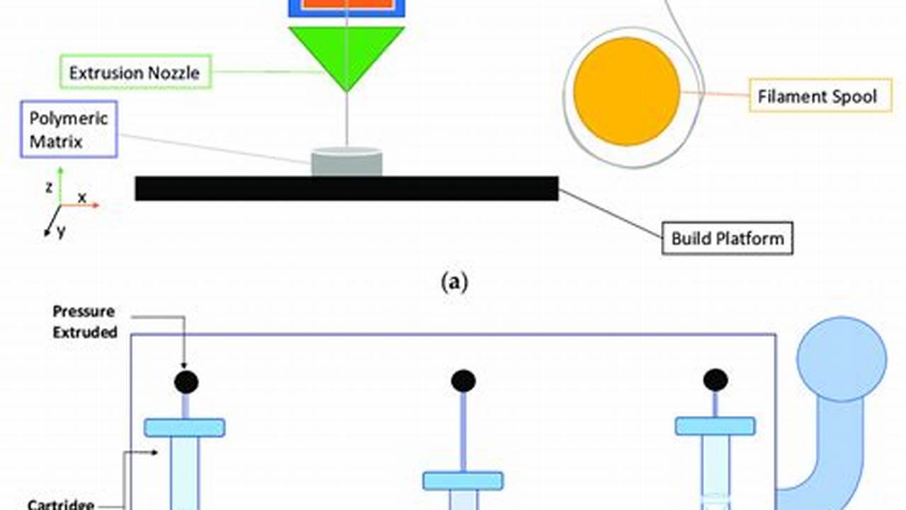 3d Printer 2024 Extrusion Process