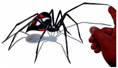 3d Black Widow Spider Drawing Scary At Gets Free Download