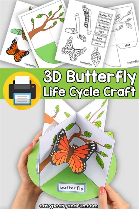 3D Butterfly Life Cycle Craft Printable: A Creative And Educational Activity For Kids