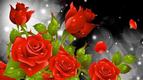 3d hd wallpapers flowers rose